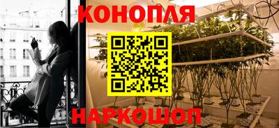 спиды Краснознаменск