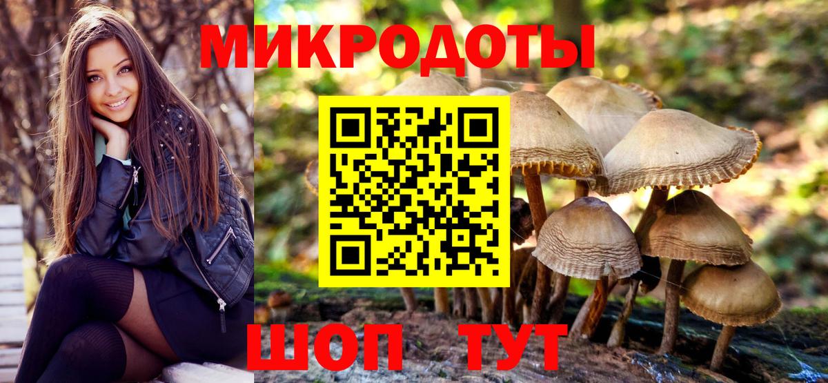 Галлюциногенные грибы MAGIC MUSHROOMS  Галлюциногенные грибы Psilocybine cubensis  Коломна  Вход с VPN 